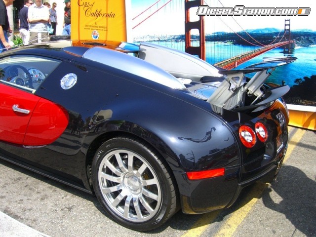 Misc 2007 Concourse On Rodeo 1 Picture #50 Misc 2007 Concourse On Rodeo 1 Picture #50